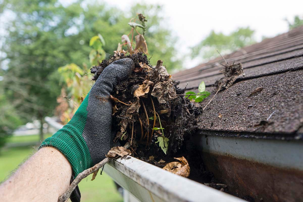 Gutter cleaning services in Columbia, Lexington and Irmo Gutter cleaning services in Columbia, Lexington and Irmo